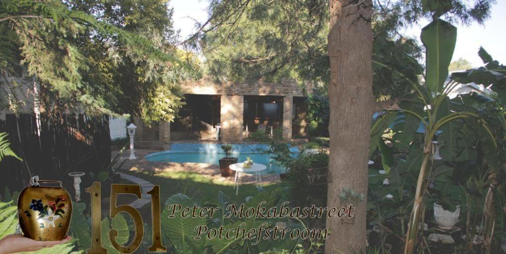 Just Tiffany Guest House & Conference Facility Потчефструм Екстериор снимка